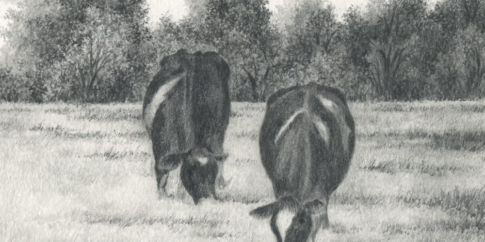 Rainey Dewey Art Cows