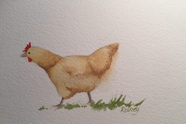 Chicken Art